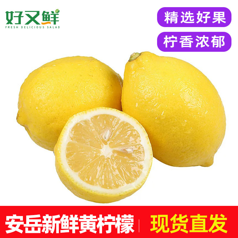 新鲜安岳黄柠檬奶茶店用水果包邮