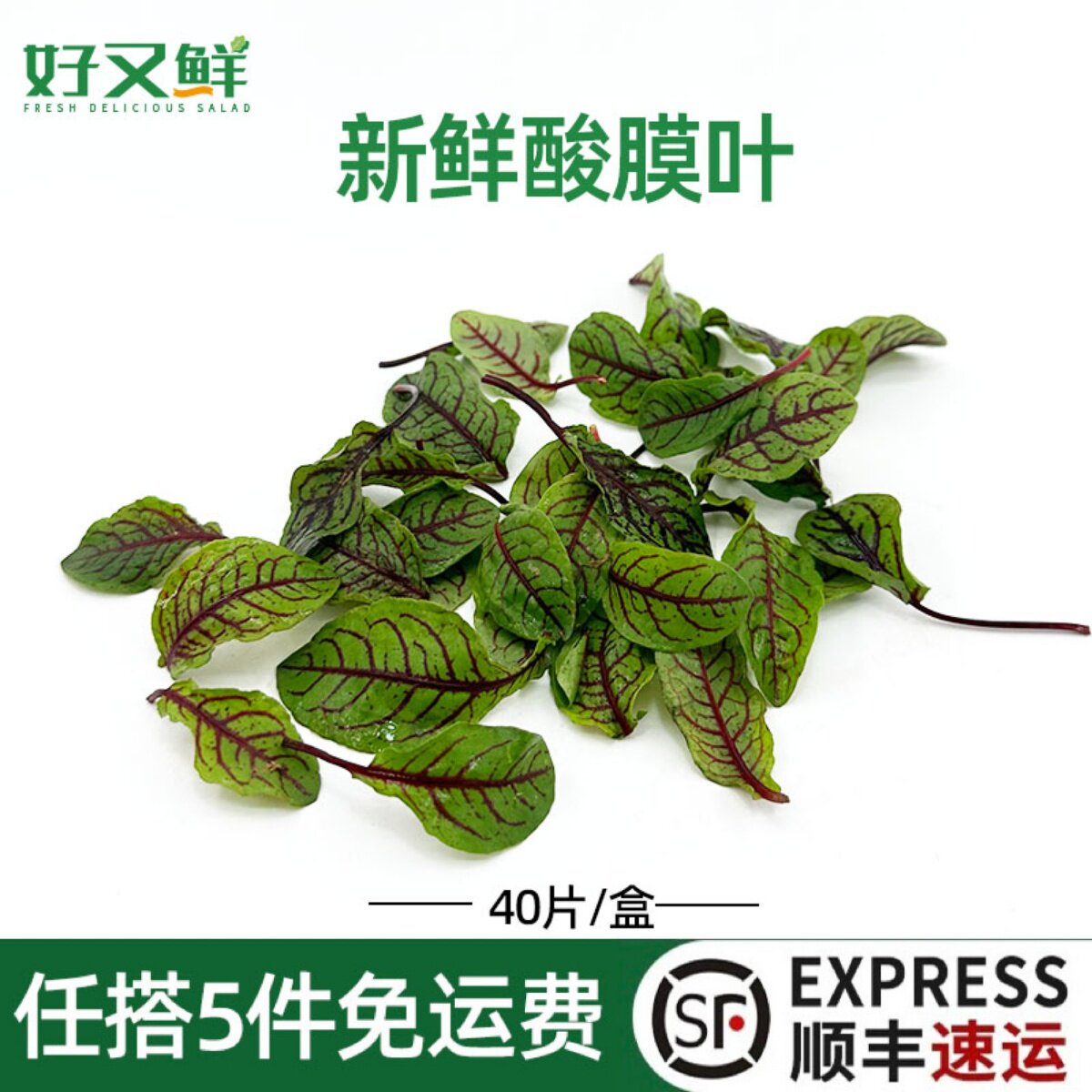新鲜红脉酸膜叶西餐摆盘装饰点缀