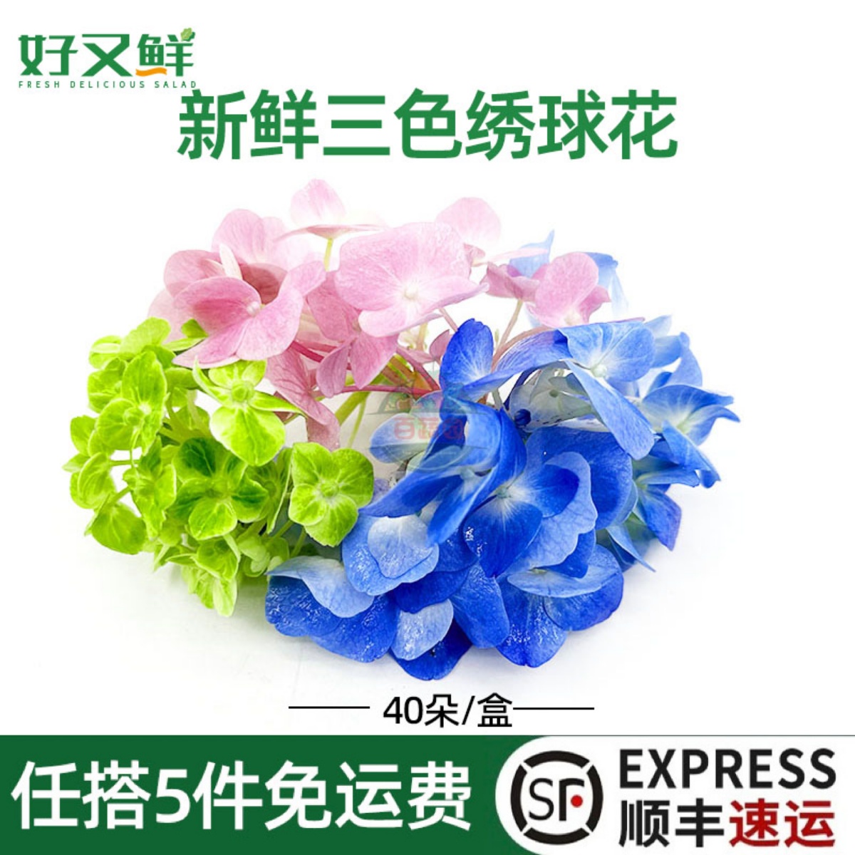 新鲜绣球花粉蓝绿三色花朵酒店西餐摆盘蛋糕烘焙日料装饰点缀花草