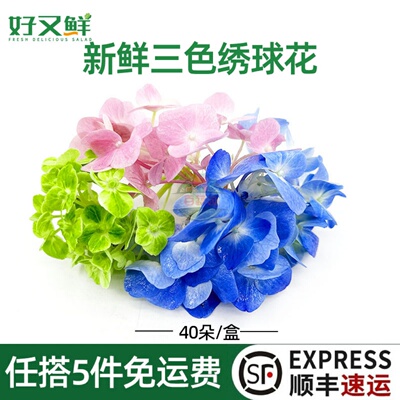 新鲜三色绣球花西餐摆盘蛋糕装饰