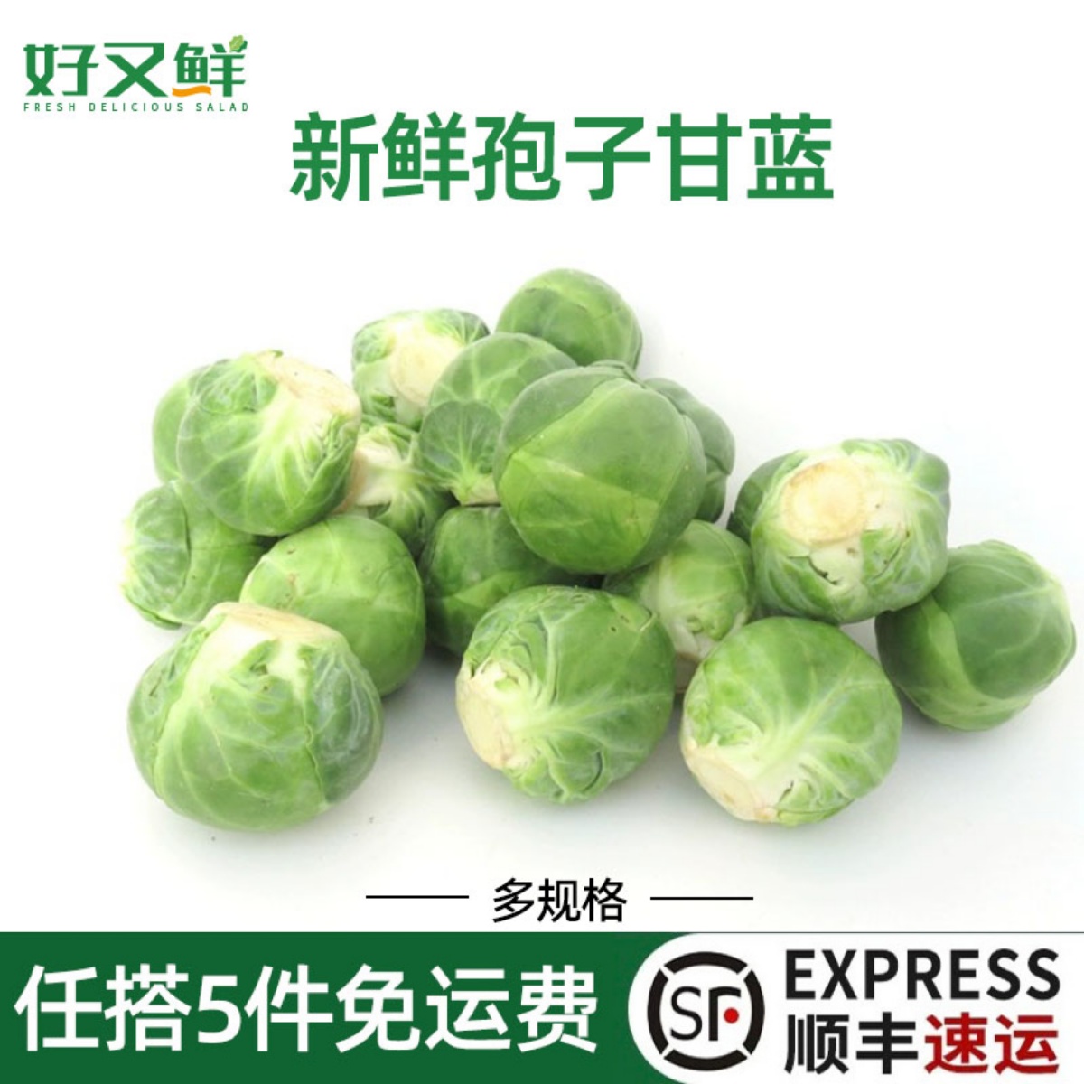 新鲜孢子甘蓝西餐沙拉食材蔬菜