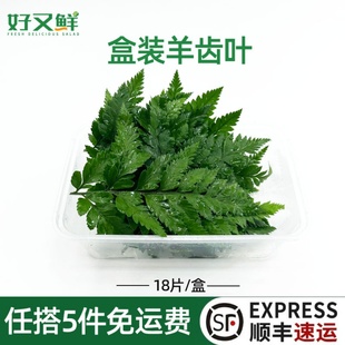 新鲜高山羊齿叶盒装芒叶杨子叶西餐摆盘烘焙蛋糕日料装饰点缀花草