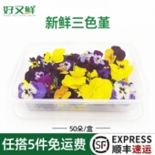新鲜三色堇三色花可食用花酒店西餐摆盘烘焙蛋糕点缀装 饰花草50朵