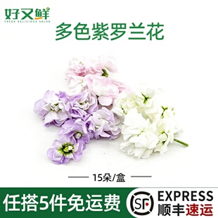 新鲜紫罗兰花多色混搭鲜花蛋糕烘培装饰点缀花草日料西餐摆盘花朵