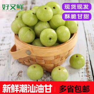 新鲜潮汕青油甘余甘子油柑子酥脆回甘奶茶店榨汁食材生吃水果包邮