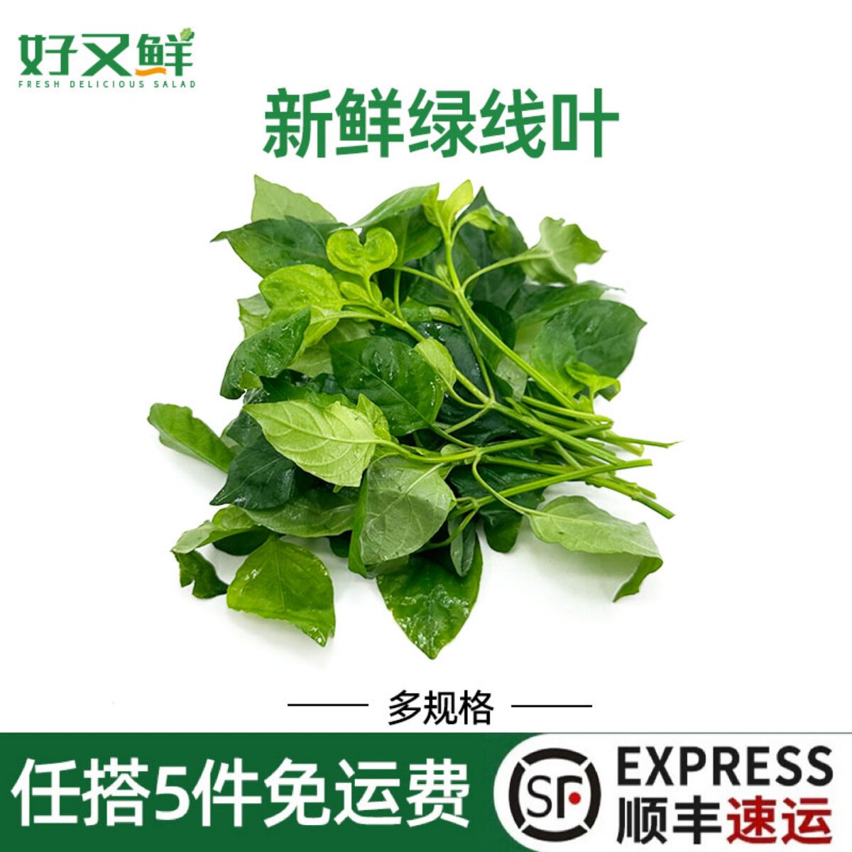 新鲜绿线叶农庄餐厅食材火锅蔬菜
