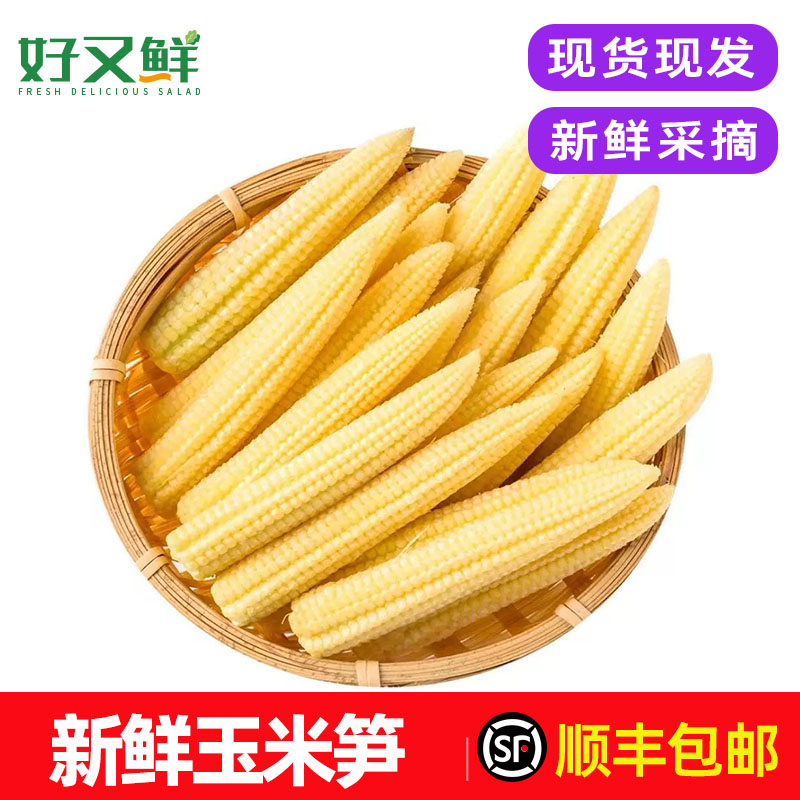 新鲜玉米笋西餐沙拉食材蔬菜包邮