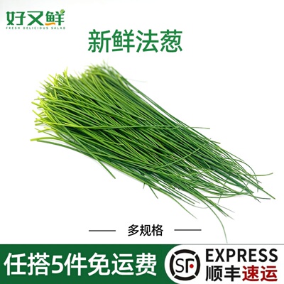 新鲜法葱西餐食材香料香草配菜