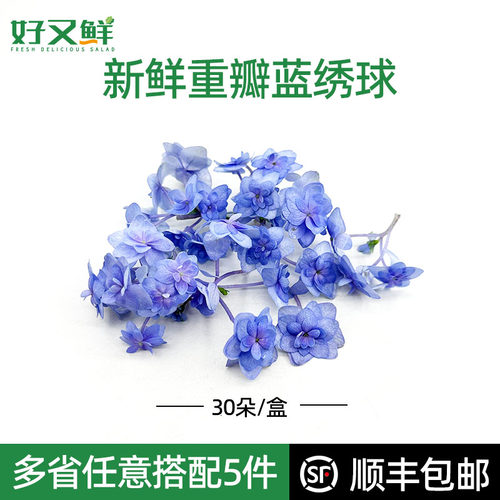 新鲜重瓣蓝绣球蛋糕点缀装饰花草