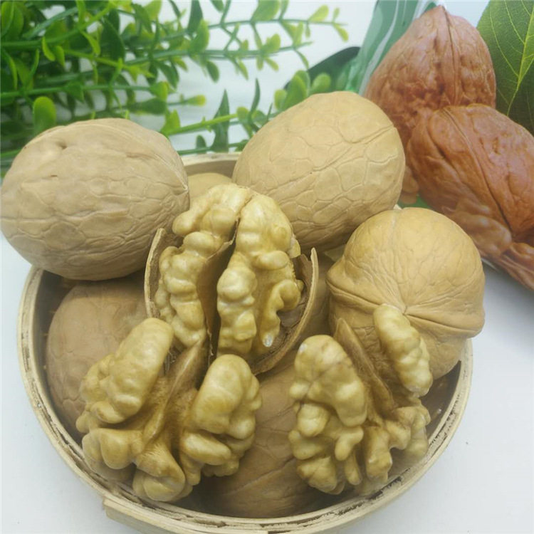 新疆纸皮大核桃5斤装一级薄皮孕妇散装原味核桃2500g 整箱包邮