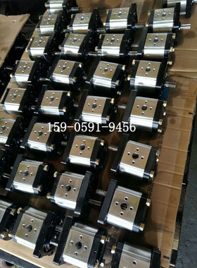 上海SDH齿轮泵CBTt-F304 306 308 310 312 314 316 320 325 F3P7L