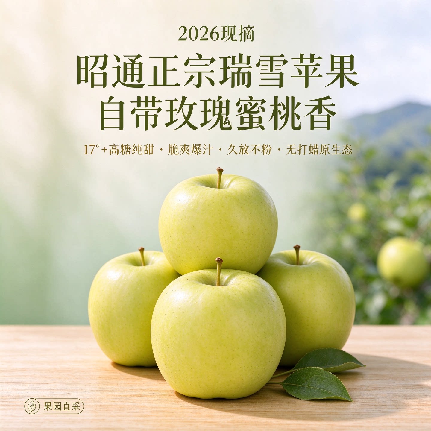 现摘云南昭通瑞雪青苹果新鲜脆甜多汁自带玫瑰香当季水果孕妇苹果