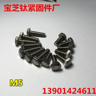 纯钛耐腐蚀外六角螺丝