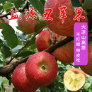 四川大凉山丑苹果盐源苹果糖心红富士丑苹果十斤新鲜水果脆甜多汁