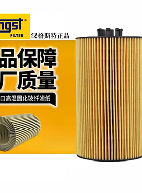 汉格斯特E422H D86机滤原装 E422HD86 原厂豪沃T7重汽机油滤清器