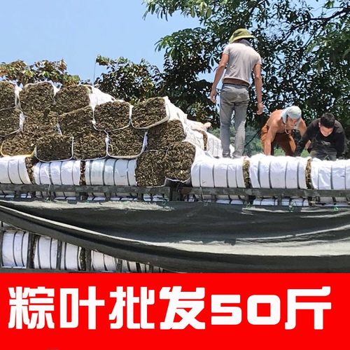 粽叶50斤粽子叶整捆干大号新鲜免邮棕叶越南麻竹子叶箬叶散装大码