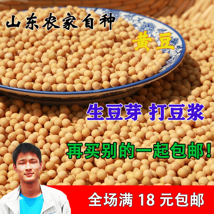 黄豆农家自产小黄豆无污染可发黄豆芽发芽黄豆种子打豆汁包邮250g 粮油调味/速食/干货/烘焙 黄豆 原图主图