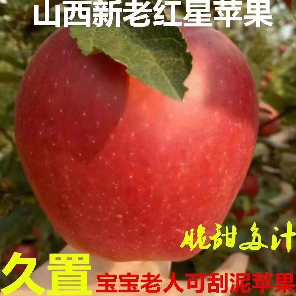 新鲜粉面沙甜红星苹果10斤红香蕉平安果宝宝刮泥老人孕妇水果整箱