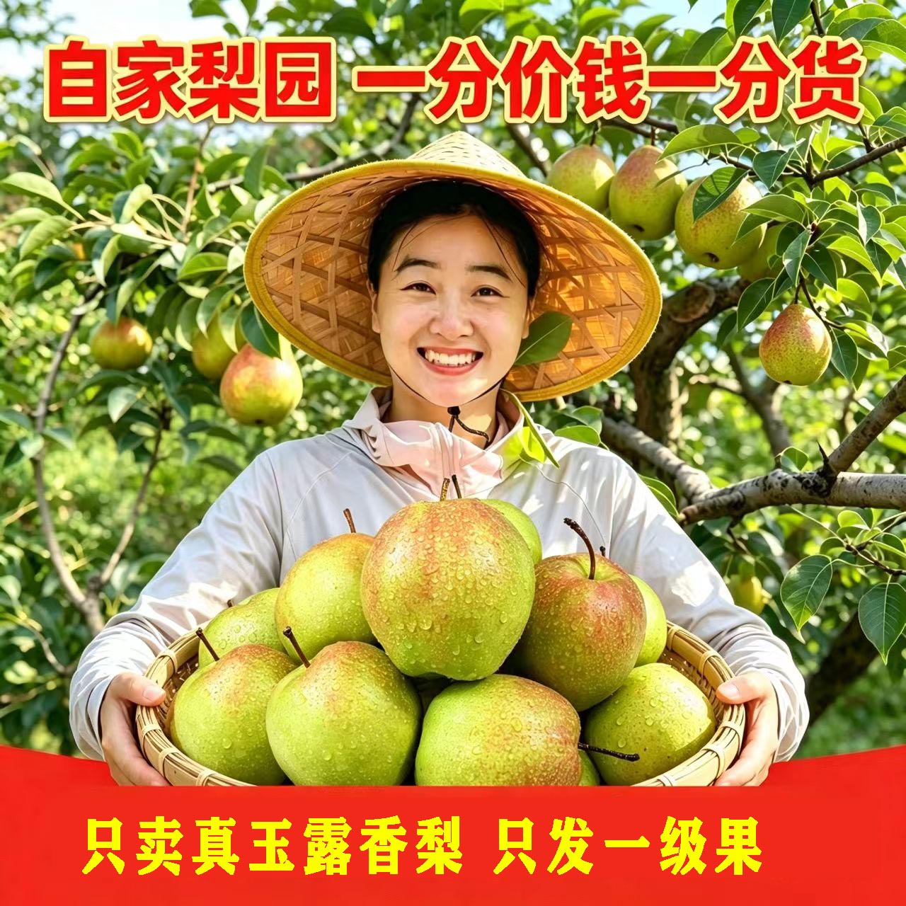正宗山西特产玉露香梨当季新鲜水果雨露梨子产地直发10斤水果整箱