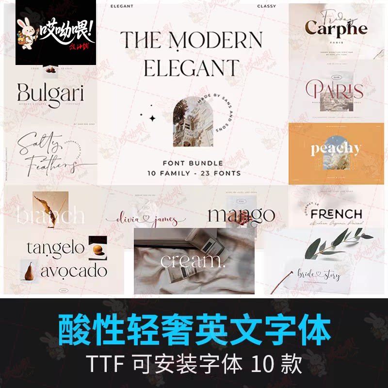 时尚优雅酸性衬线简约杂志海报品牌LOGO设计手写英文字体win/mac