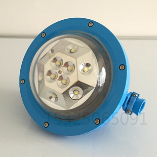127L矿用隔爆型LED巷道灯30W 127V 36W 防爆灯 220V 40W DGS30