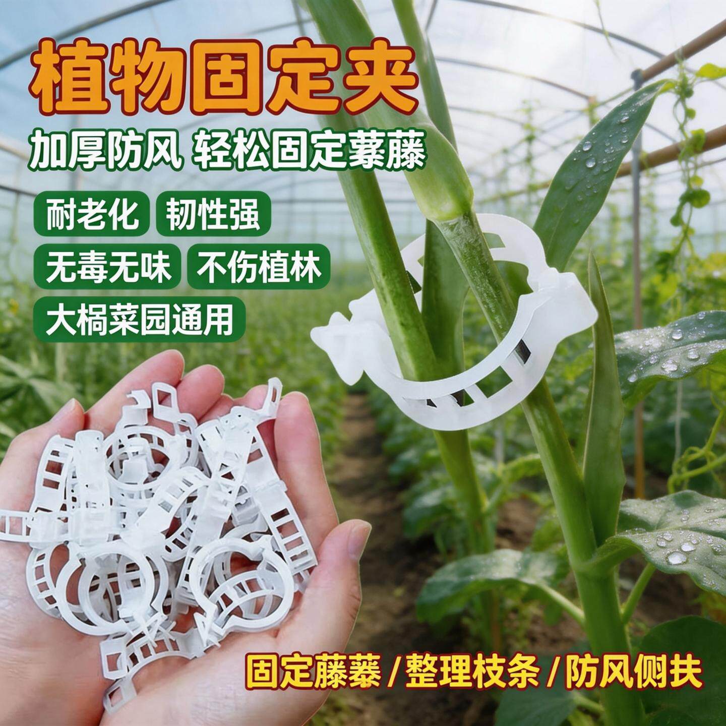 依晓凡植物固定夹卡扣爬藤植物