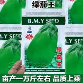 青皮绿肉茄子种子丰产味甜灯泡茄子春播椭圆蔬菜籽绿罐茄种子高产