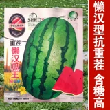 Ленивый мужчина Ван очень большой гигантский ленивый мужчина семена арбуза