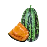 Семена дыня супер сладкие семена дыни с высоким сахарной банкой сахар