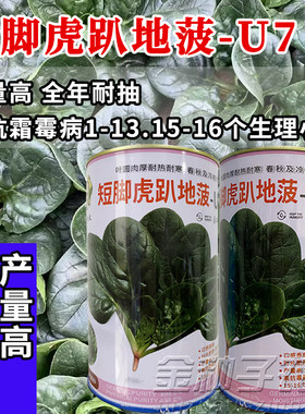 短梗圆叶趴地菠菜黑园叶