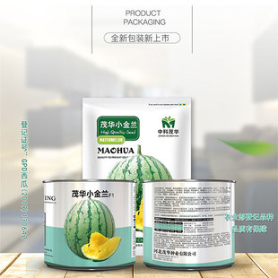 西瓜种孑高产四季小黄壤青花皮茂华小金兰超甜早熟小凤西瓜种子籽