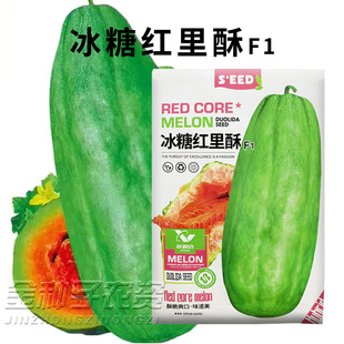 一窝蜂梢瓜种子红壤酥瓜种籽牛角甜瓜种子懒汉薄皮甜瓜酥脆可口菜