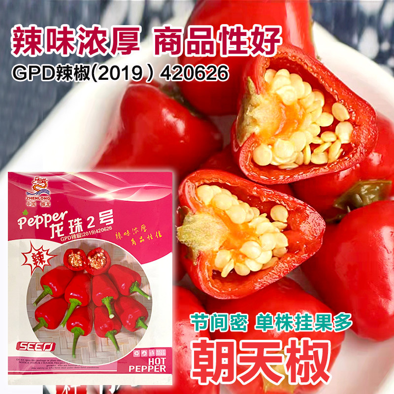 灯笼辣椒种子草莓椒种子籽圆型辣椒种籽樱桃红泡椒种子红辣椒四季
