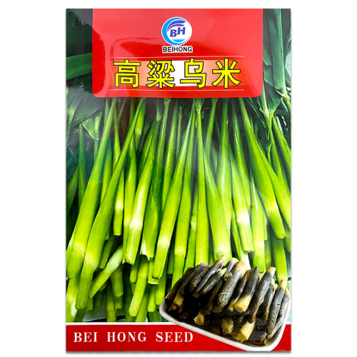 高粱乌米种子高产特产