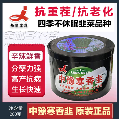 中豫寒香韭菜种子四季不休眠