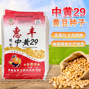 矮杆早熟国审高产大豆种子大粒黄豆种原种新品种中黄13国审中黄29
