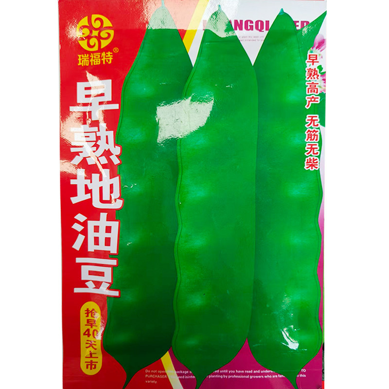 新籽无架矮生地油豆种子豆角早熟地油豆角籽地豆种包邮春季秋季