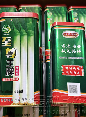 章丘大葱种子三系杂交高产大葱