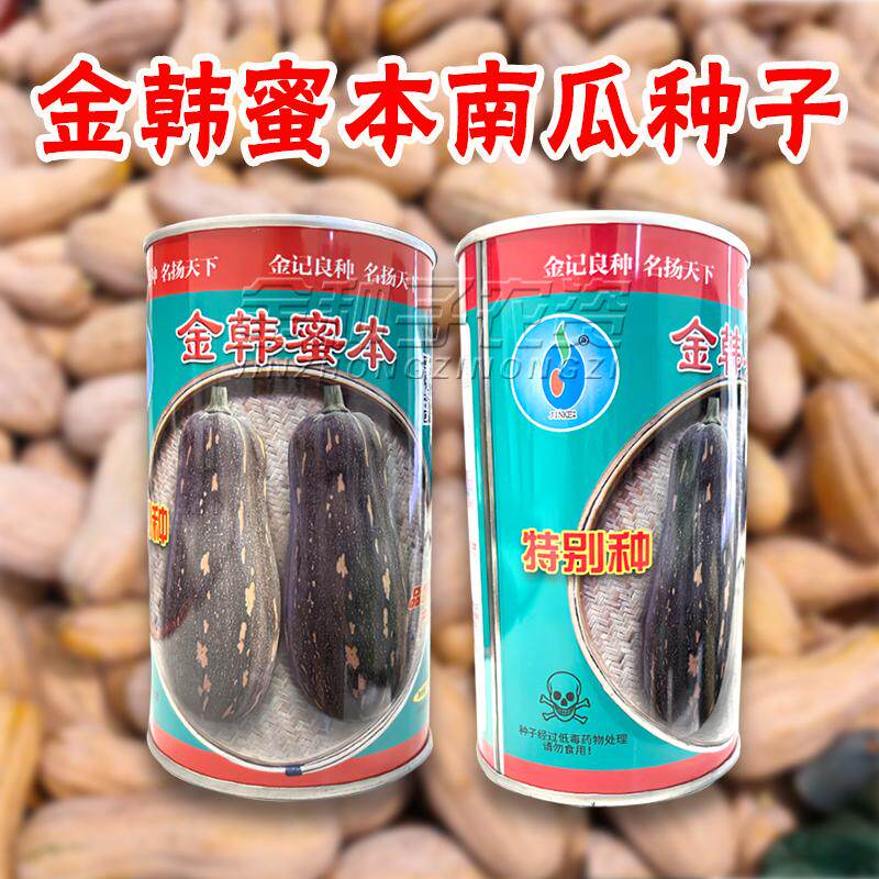 南瓜种子粉糯香甜味抗病