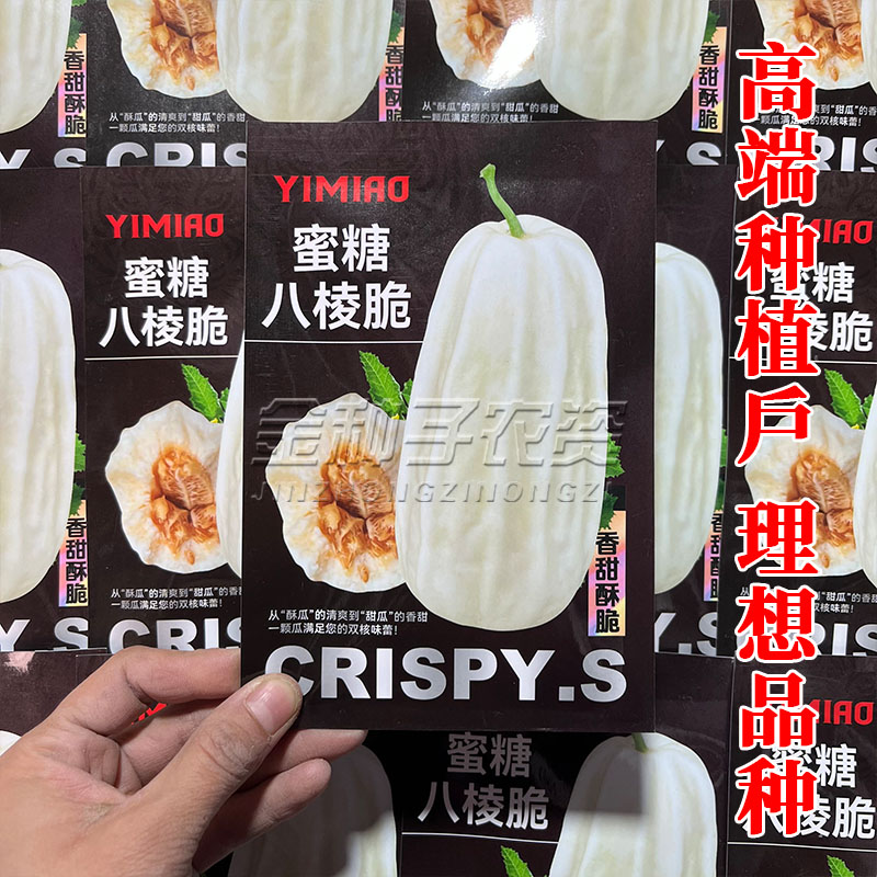 甜蜜八棱脆甜瓜种子夏季播种八棱脆瓜种子长菜瓜种子春季水果种子