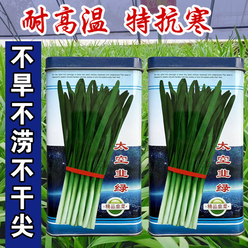 太空韭绿韭菜种子籽白根宽叶抗病高产耐热寒大田基地种植蔬菜,鲜花速递/花卉仿真/绿植园艺,家庭园艺种子,淘宝优惠券,粉丝福利购,淘宝优惠卷