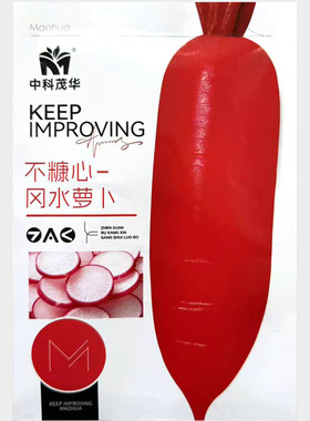 水果萝卜种子盆栽庭院水萝卜
