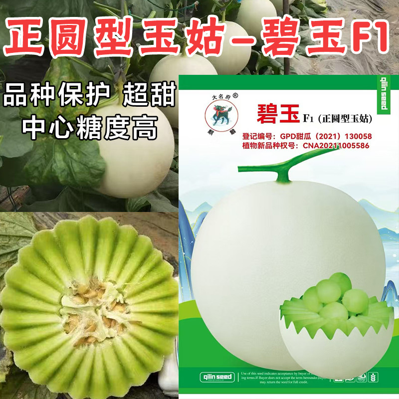 台湾玉姑超甜甜瓜种子