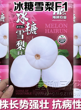 冰糖雪梨甜瓜种子早熟薄皮小白瓜高糖型甜瓜皮白透亮白瓤白籽香瓜