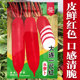 小五樱水萝卜种子红皮白肉水果萝卜籽农家菜园秋四季 蔬菜水果种孑