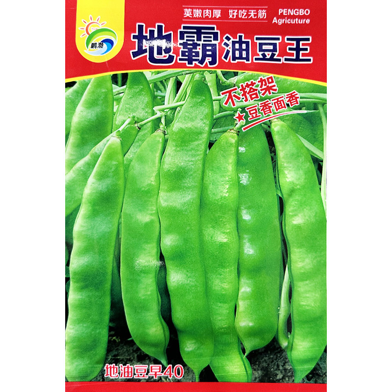 新籽无架矮生地油豆种子豆角早熟地霸油豆角籽地豆种包邮春季秋季,鲜花速递/花卉仿真/绿植园艺,家庭园艺种子,淘宝优惠券,粉丝福利购,淘宝优惠卷