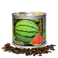 Аутентичный Waya 8424 Abramelon 50G Bucket Предпочтение