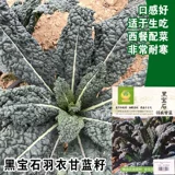Саженцы семян в капусту съедобные черные драгоценные камни капусты