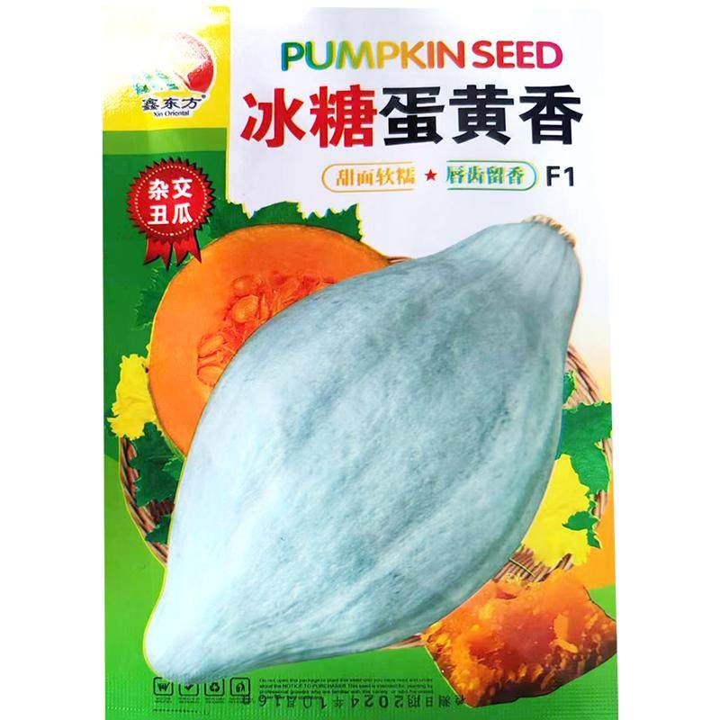 东北丑瓜种子冰糖蛋黄香南瓜香蜜橄榄甜面软糯干面香甜杂交品种子