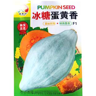 东北丑瓜种子冰糖蛋黄香南瓜香蜜橄榄甜面软糯干面香甜杂交品种子